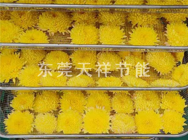 热泵菊花烘干机